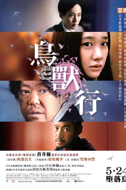 她不知道名字的那些鸟儿