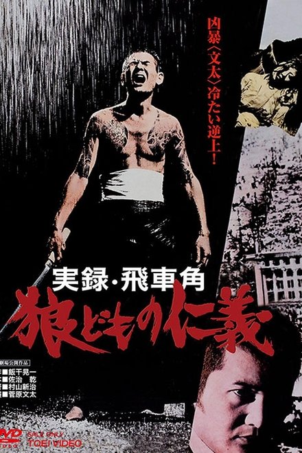 实录飞车角 众狼的仁义