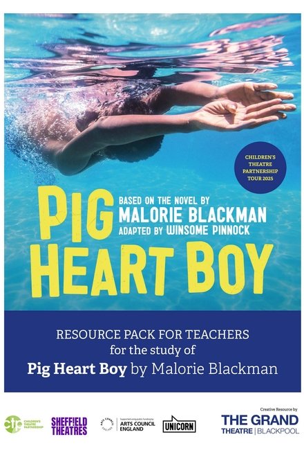 Pig Heart Boy