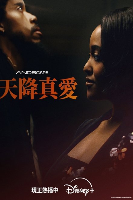 爱情专家