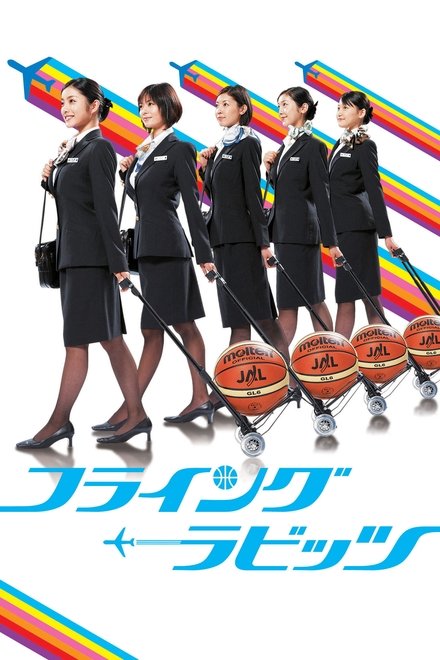 飞行兔子