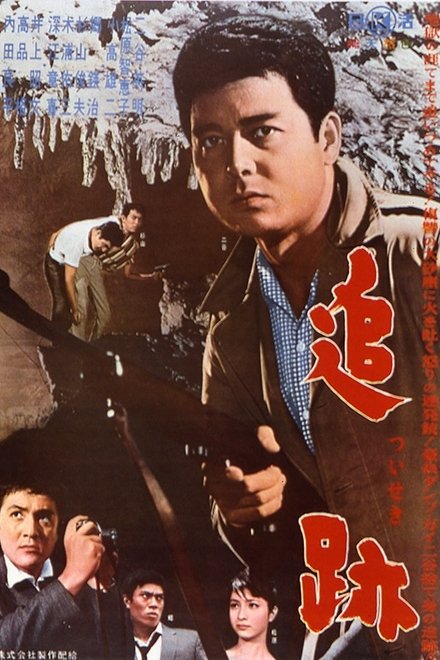 追跡