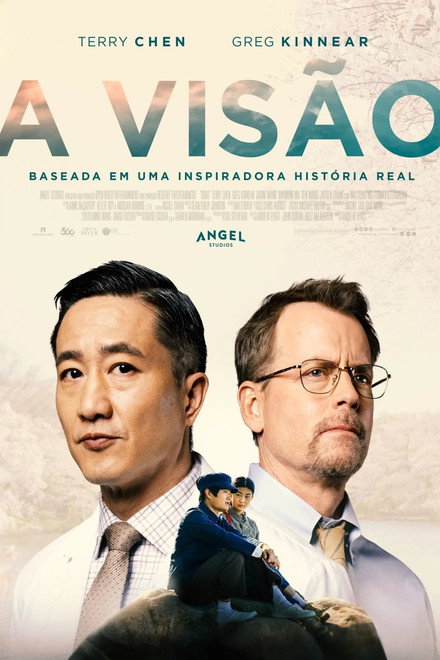 A Visão