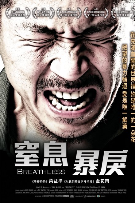 绿头苍蝇