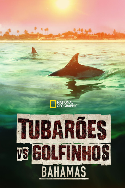 Tubarões vs. Golfinhos: Bahamas
