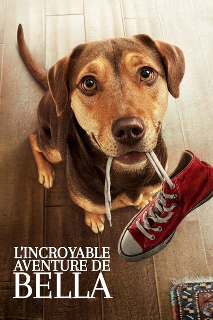 L'Incroyable aventure de Bella