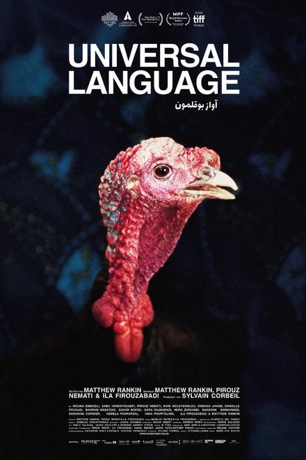 Une langue universelle