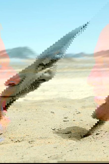 Miracle Desert