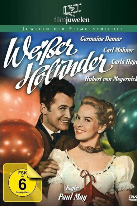 Weißer Holunder