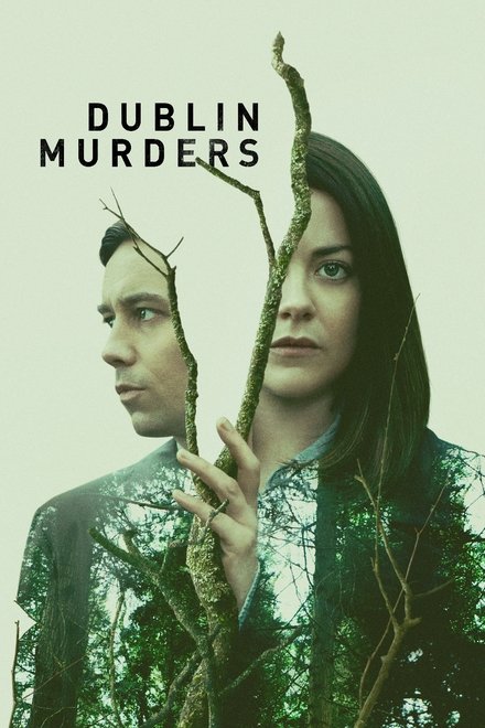 Dublin Murders Saison 1