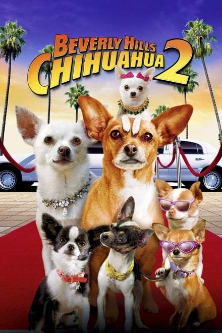 Beverly Hills Chihuahua 2 - Komödie / 2011 / ab 0 Jahre