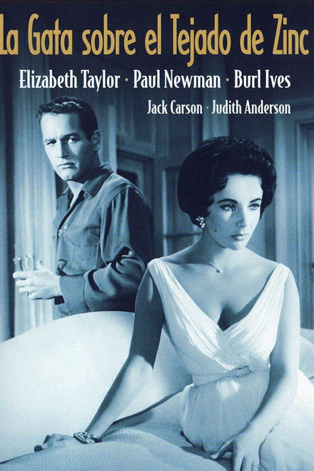 Un gato sobre el tejado caliente