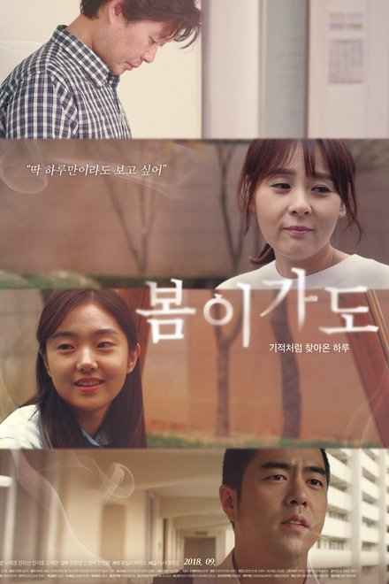 봄이가도