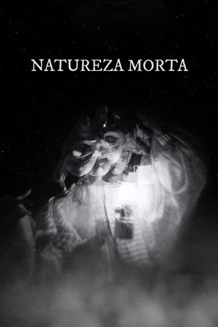 Natureza Morta