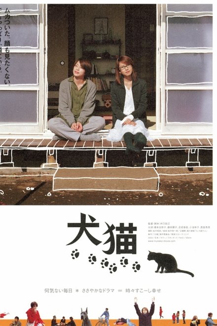 犬猫