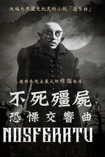 诺斯费拉图