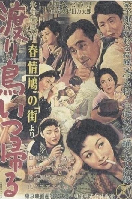「春情鳩の街」より 渡り鳥いつ帰る