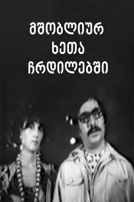 წყარო გზის პირას