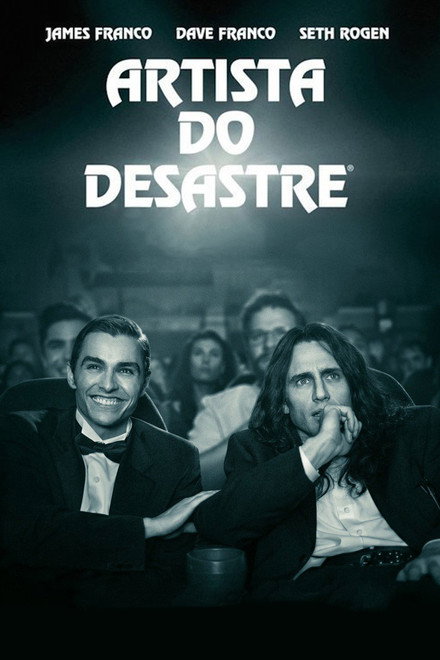 Artista do Desastre