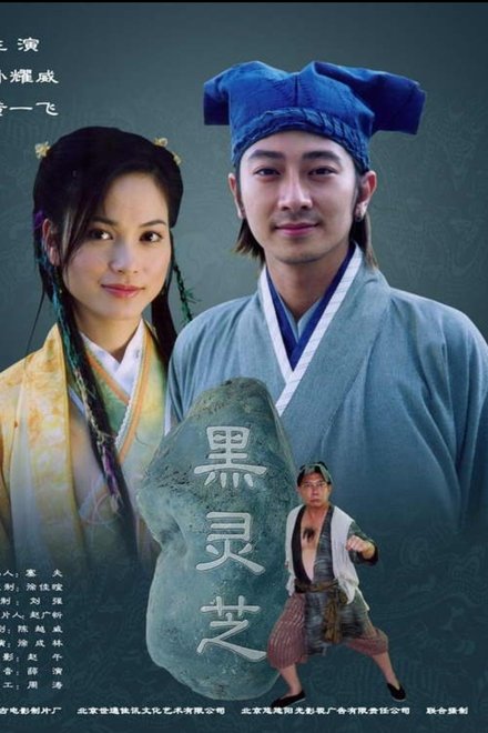 黑灵芝