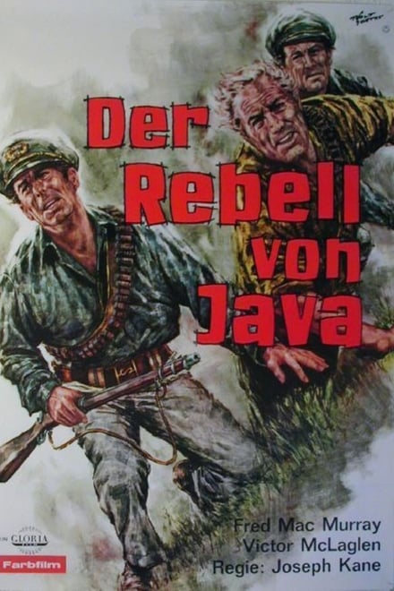 Der Rebell von Java
