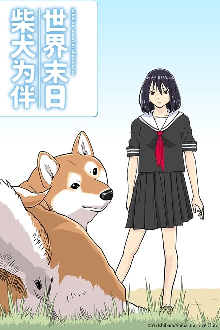 世界末日柴犬为伴