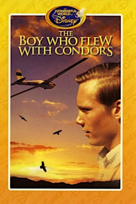 The Boy Who Flew with Condors