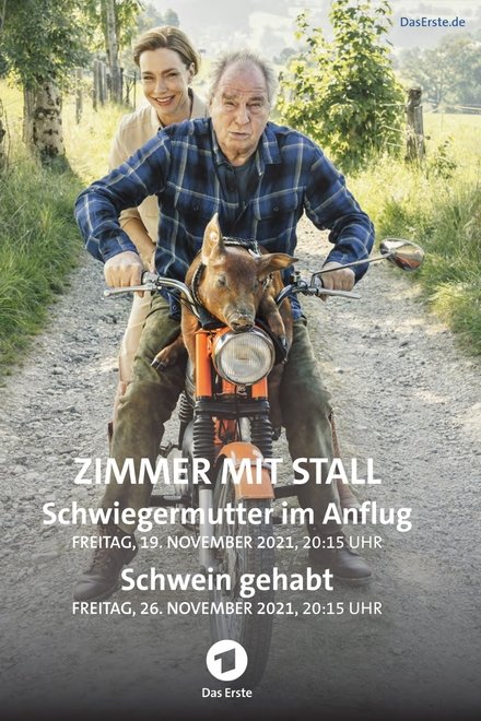 Zimmer mit Stall - Schwein gehabt