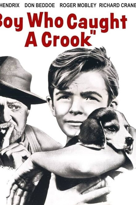 Boy Who Caught a Crook