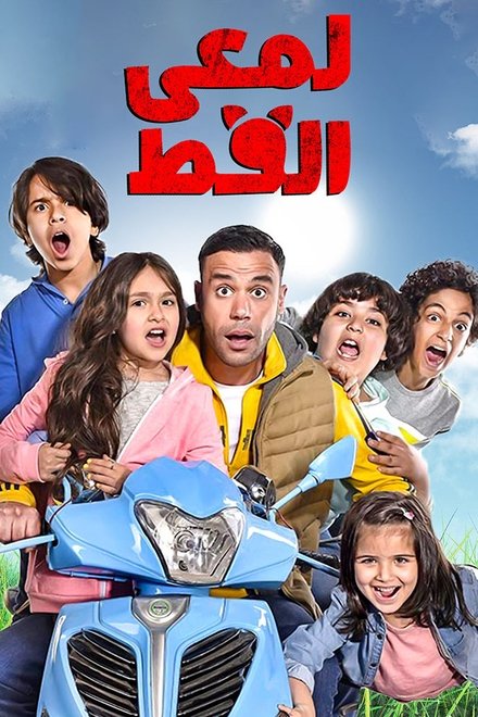لمعي القط