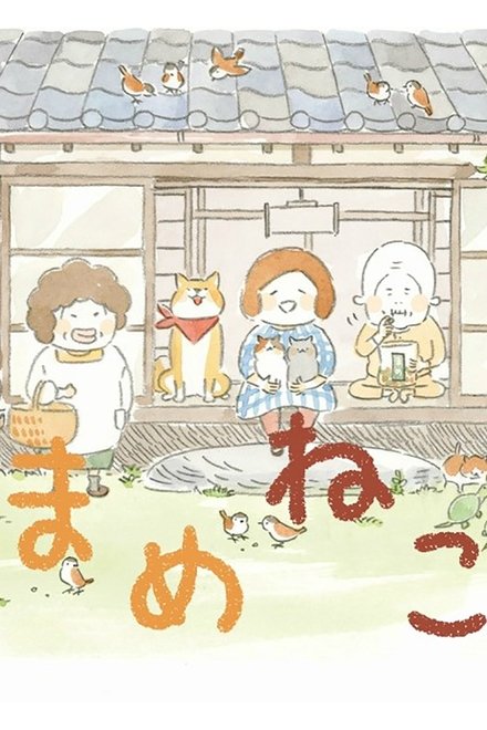 豆豆猫