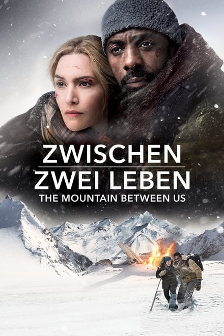 Zwischen zwei Leben - The Mountain Between Us - Liebesfilm / 2017 / ab 12 Jahre