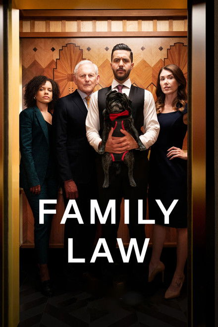 Family Law 2021 4° Temporada Completa 720p 1080p WEB