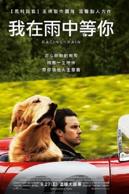 我在雨中等你