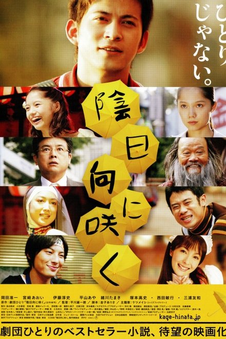 向着阴天绽放