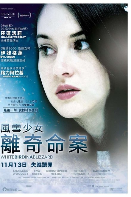 暴风雪中的白鸟