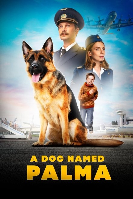 忠犬帕尔玛