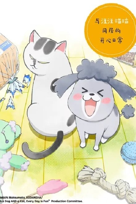 养狗与猫每天都很开心