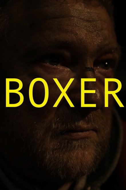 Boxer