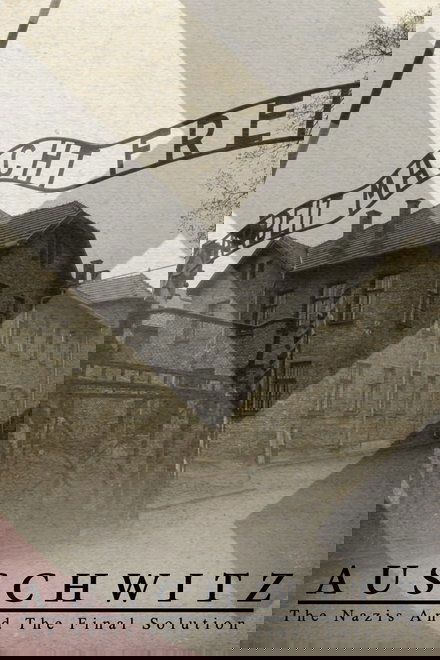 奥斯威辛：纳粹最后的对策