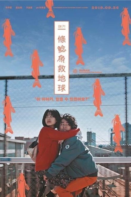 鲶鱼美琪
