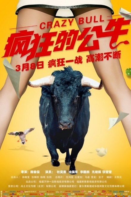 瘋狂的公牛