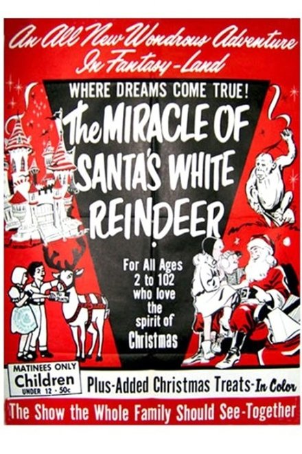 The Miracle of the White Reindeer