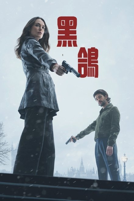 黑鸽