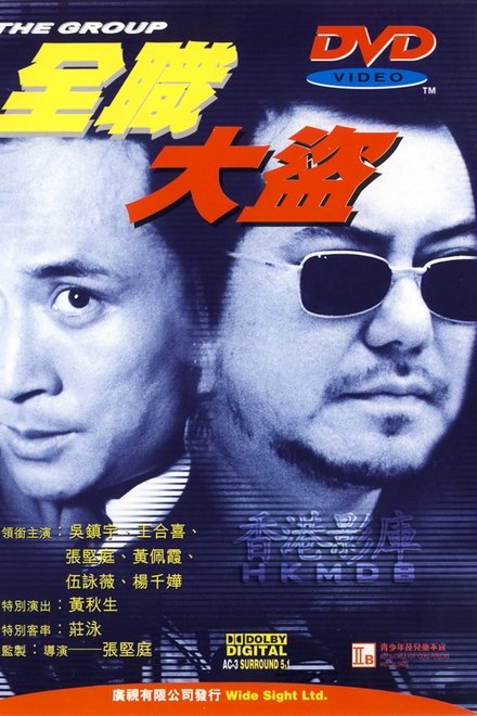 全职大盗