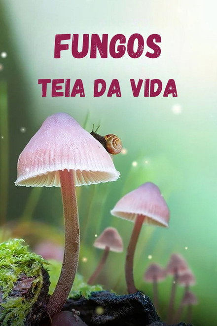 Fungos: Teia da Vida