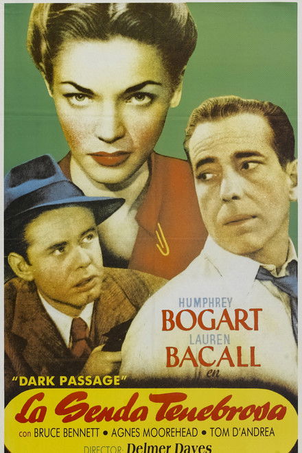 Dark Passage