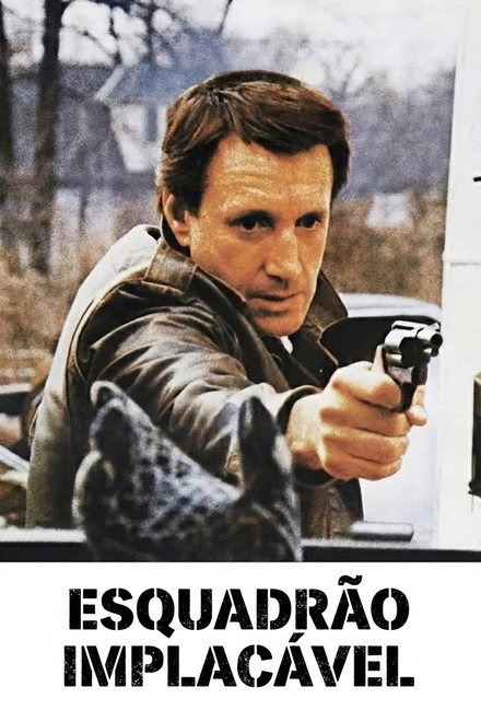 Esquadrão Implacável