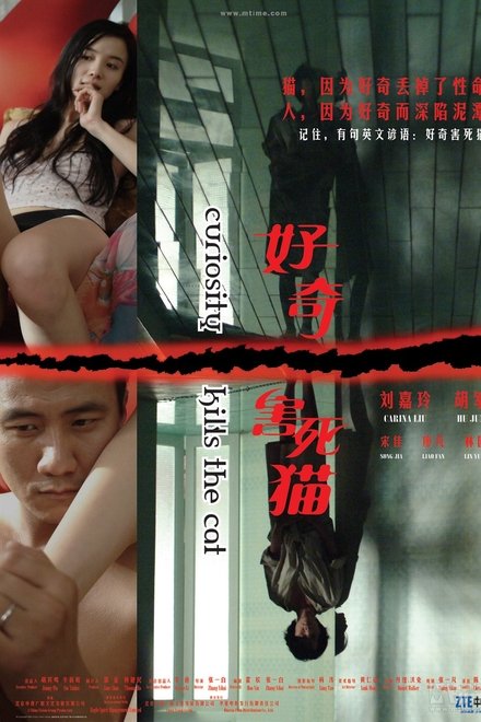 好奇害死猫