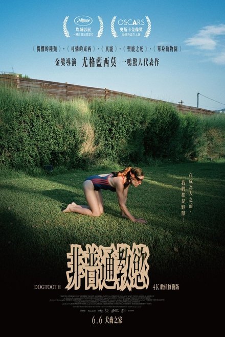 狗牙